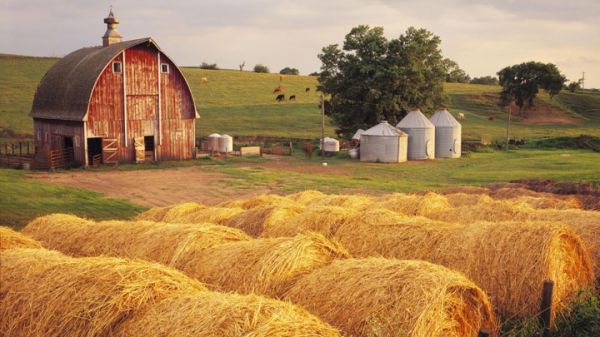 Farm Land